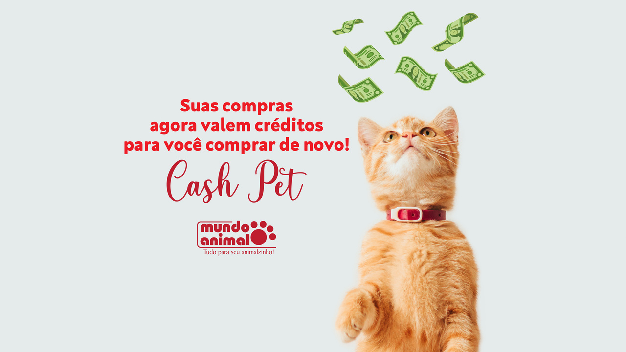 Mundo Animal Rio Preto Rio Preto Pet Shop mundo-animal-rio-preto-rio-preto-pet-shop