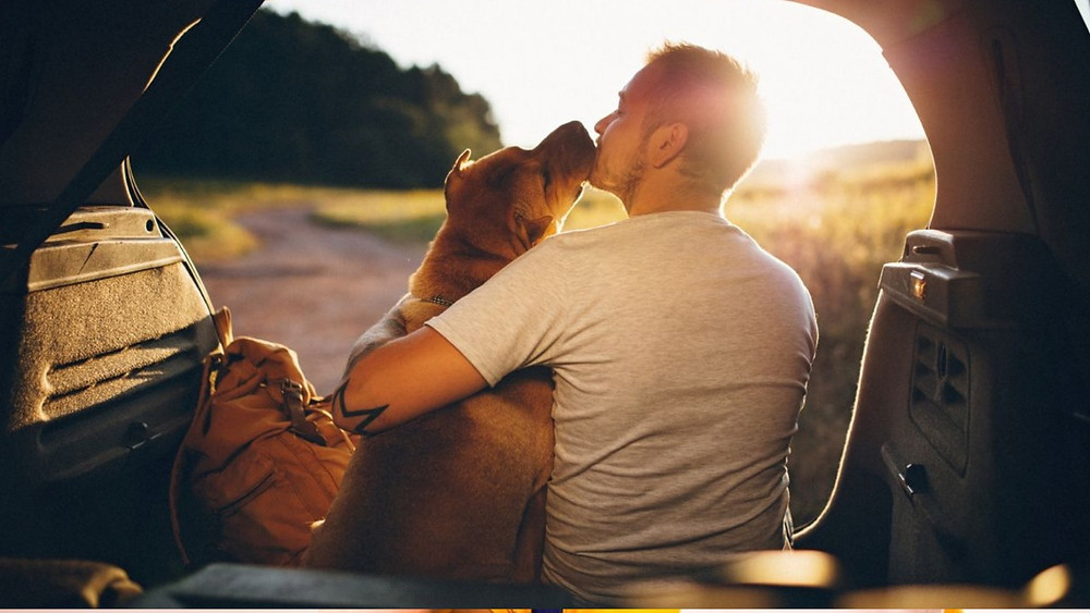 Férias com pet