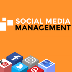SOCIAL MEDIA MANAGEMENT
