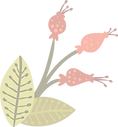 Flower _edited.png