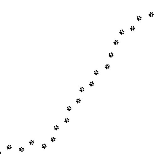 Alia te Acompaña (3)_edited_edited.jpg