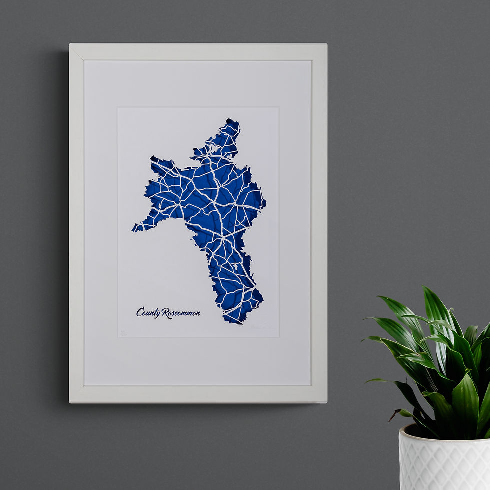 Roscommon papercut map framed