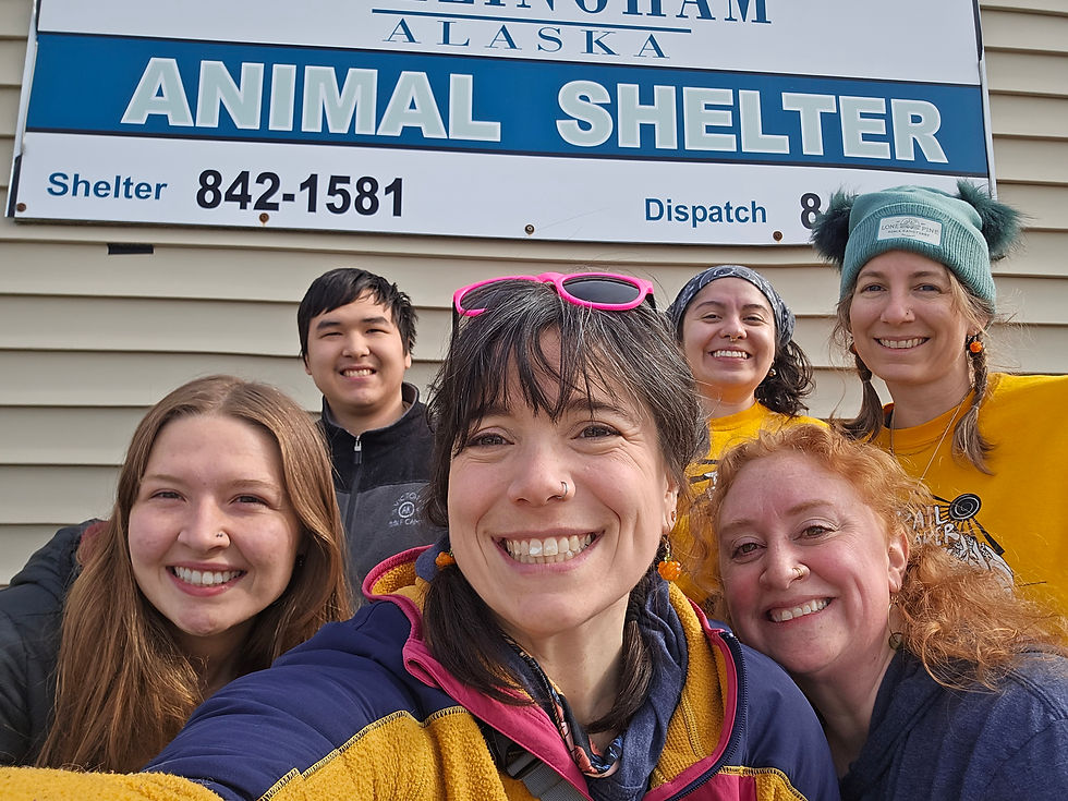 Dillingham Winter Clinic