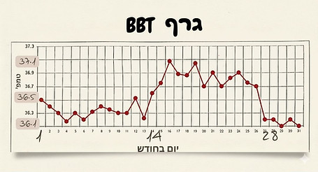 גרף BBT מלמד מה הם הימים הפוריים של החודשומתי ניתן להיקלט להריון
