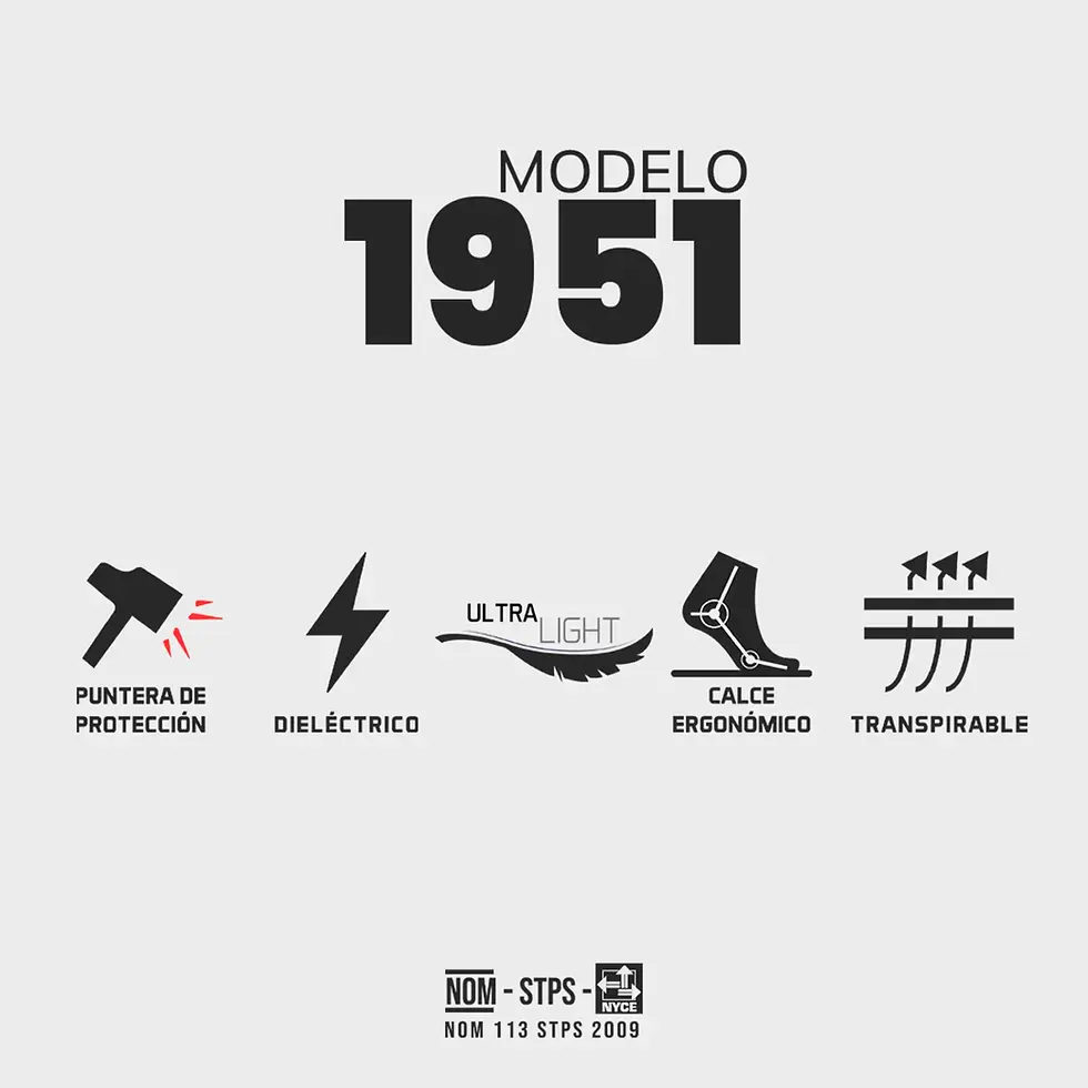 Miniatura: 1951