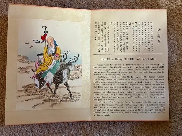 chinese silk book 2.webp