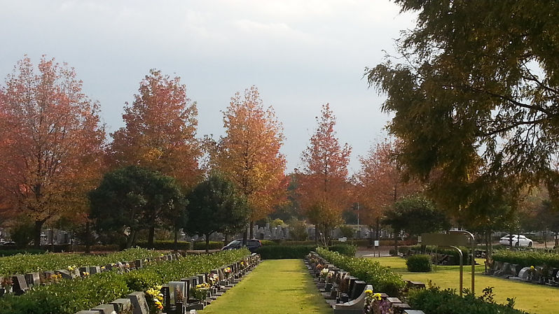 20131117_142445.jpg
