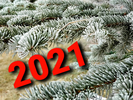 Gardening Tips to Ring In the New Year