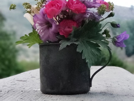 Mugshot Monday - July