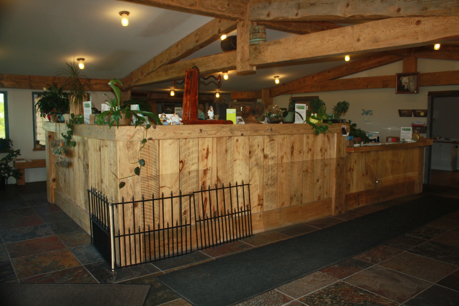 Javas Veterinary Center/Pets/Massena NY