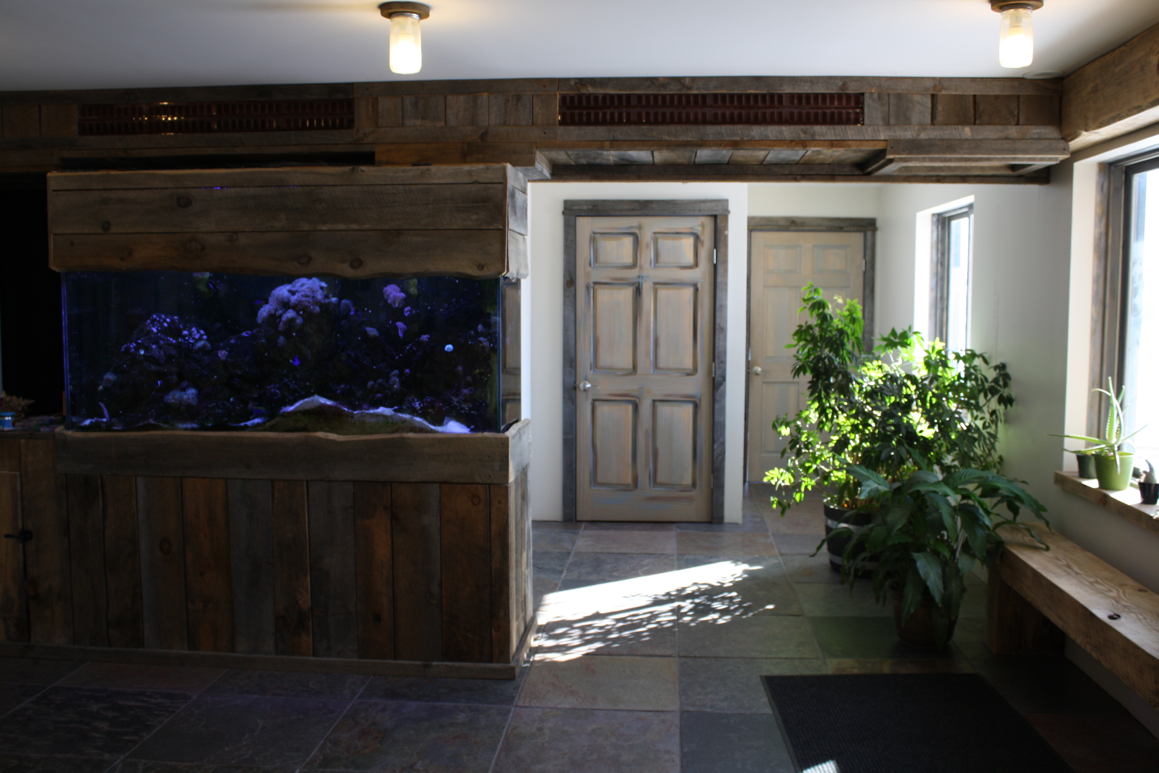 Javas Veterinary Center/Pets/Massena NY