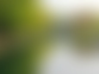 Une nouvelle aventure collective démarre : le recalibrage du canal de la Deûle