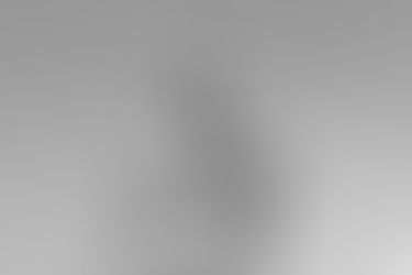 AD HONOREM SODALIS: TWO LAMBLIKE HORNS ON THE FIRST BEAST