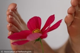 Close-up of bare feet positioned on either side of a vibrant pink flower, representing calm and and natural healing.