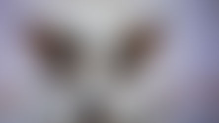 Starromania spendet an Betty & Tessa, Puiu u. Monica Imre, TA Kosten