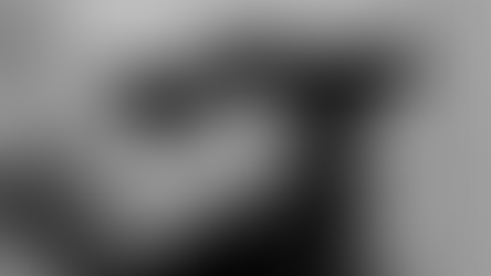 Starromania spendet an SDS für Tierarztkosten