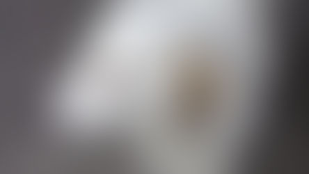 Violeta Ion erhielt Spende für Futter