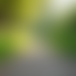 Enhance Your Life with Holistic Aging Practices