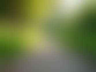 Enhance Your Life with Holistic Aging Practices