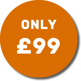 Price 99.fw.png