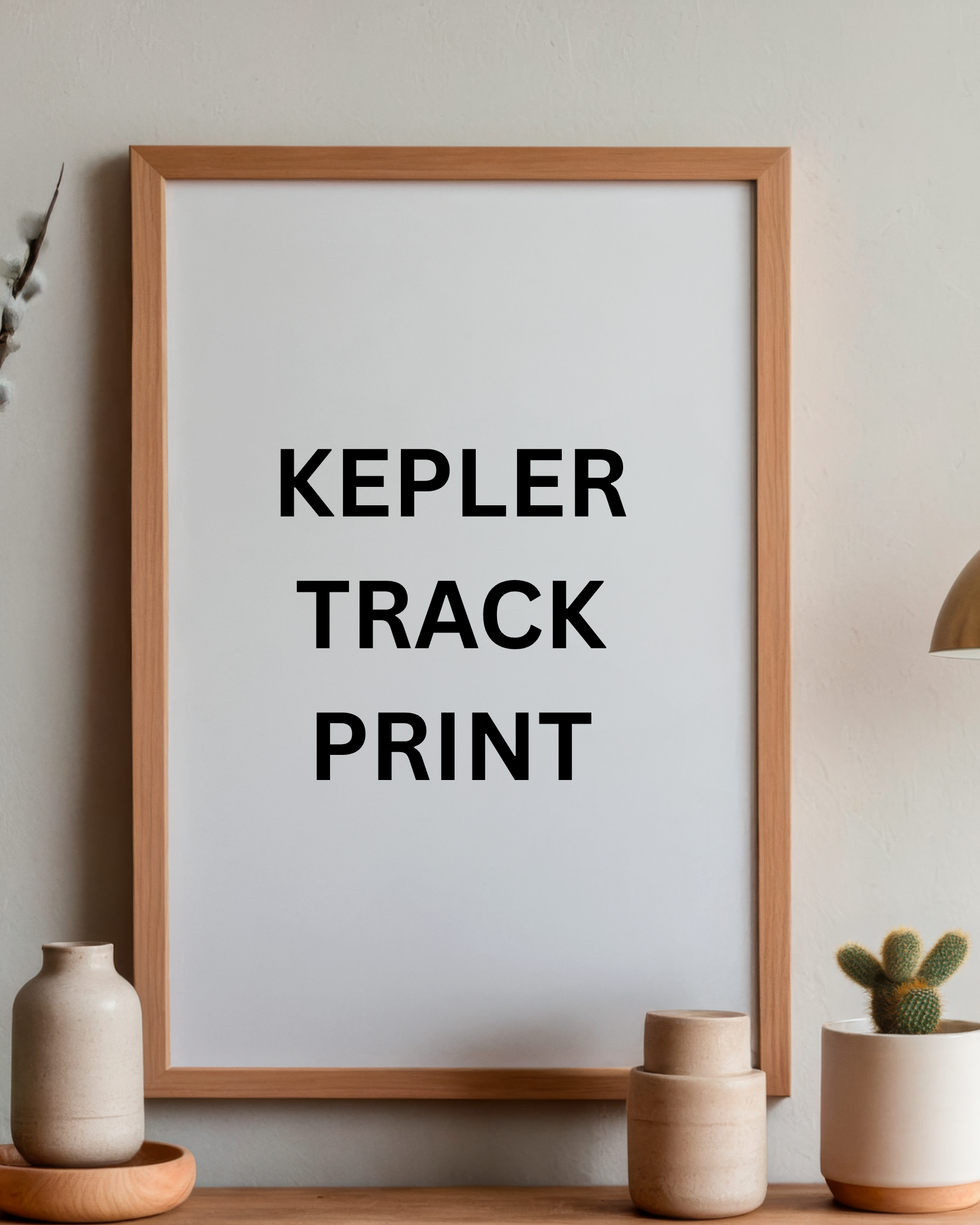 Kepler Track Print