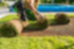 landscaping sod installation