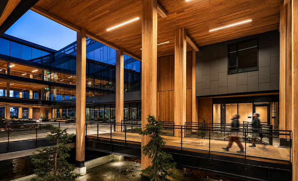 dusk atrium verdant.png