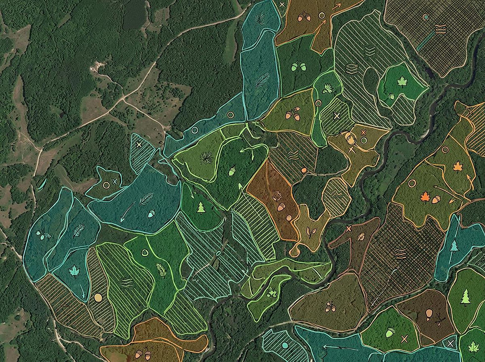 map software - scribble .jpeg