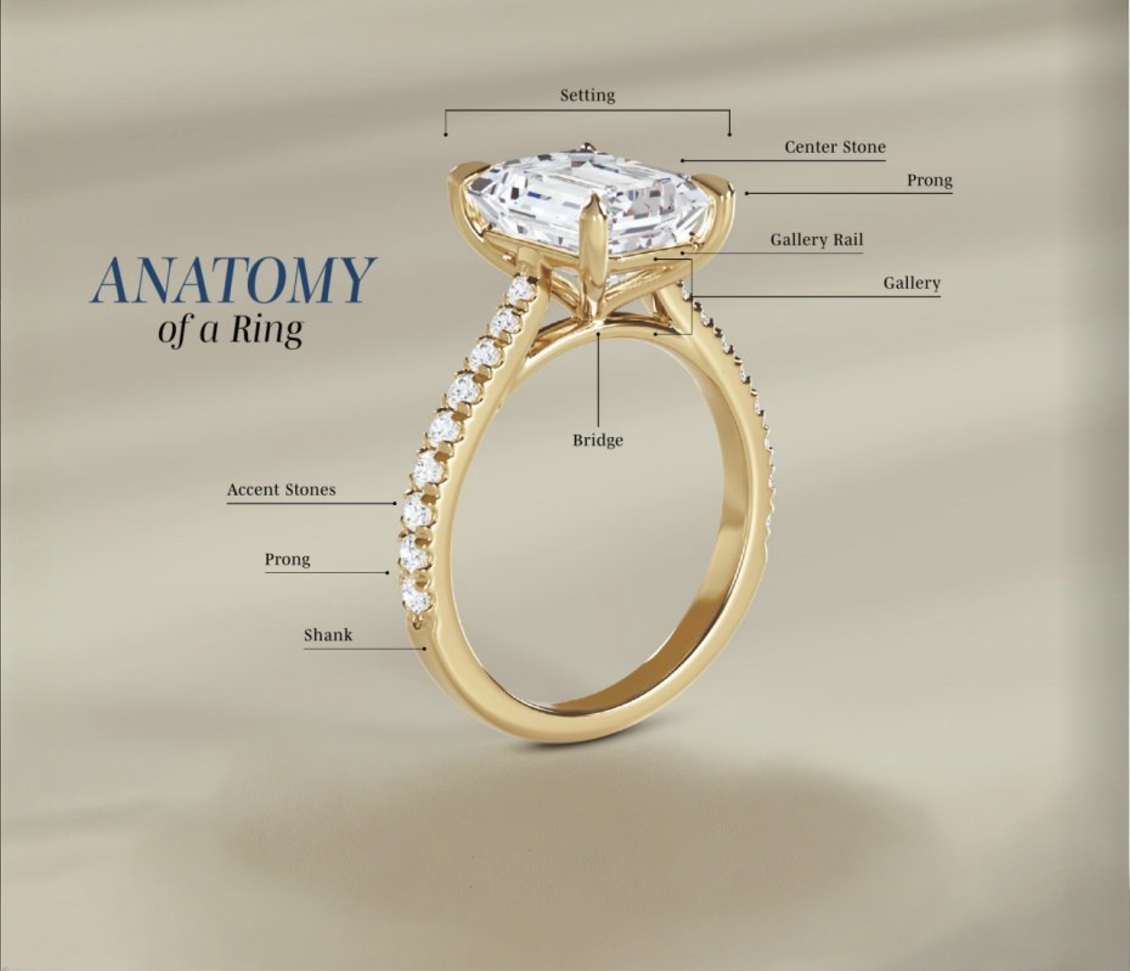 Anatomy of a Ring