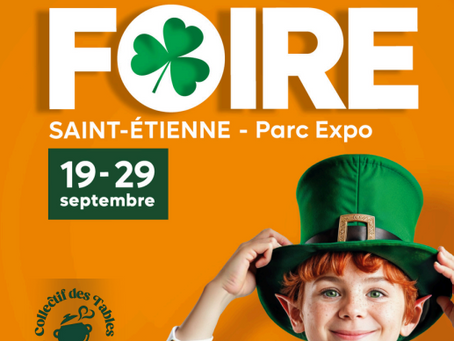 Foire Saint-Etienne -Parc Expo