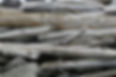 georg-eiermann-FdMcfjrQlkY-unsplash_edited.jpg