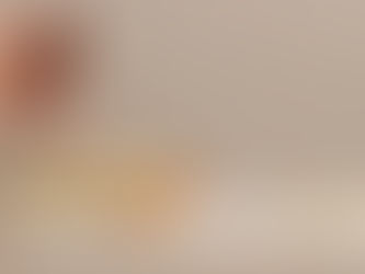 Illustration of how Whole Blood Separator(WBS) pad works.