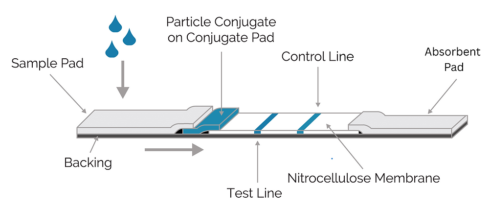 Red Part For Process Testing The Science Behind Rapid Tests and the Impact of Material Quality on ...