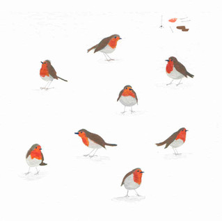 Robins_Sq_White.jpg