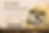 Copilot_20260428_163238.png