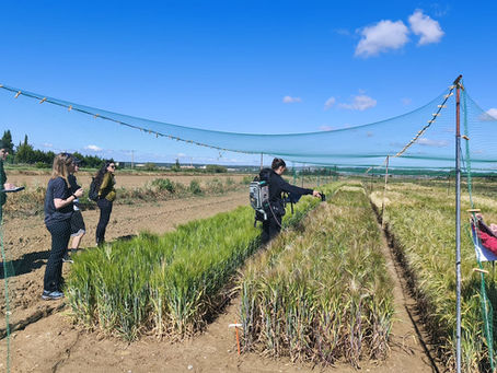 Los estudiantes del Máster en Tecnologías de la Información Geográfica de la Universidad de Zaragoza conocen de primera mano el proyecto MERCEDES