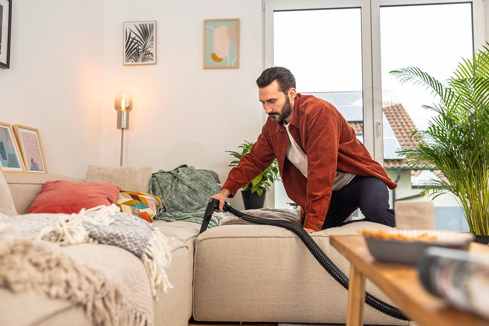 Thumbnail: Man vacuuming couch with Kärcher SE Upholstery Nozzle in living room, near window
