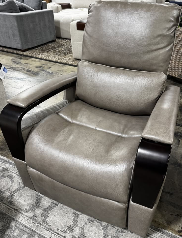 Shayne Leather Power Recliner with Power Headrest
