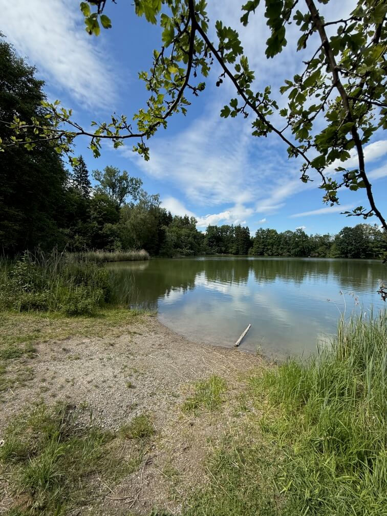 Die Waldweiher in Buxheim sind das ganze Jahr über ein tolles Zwischenziel des Walderlebnispfads.