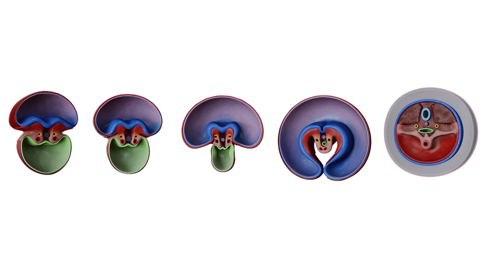 Vasundhara-Kapoor-Image1 Large.png