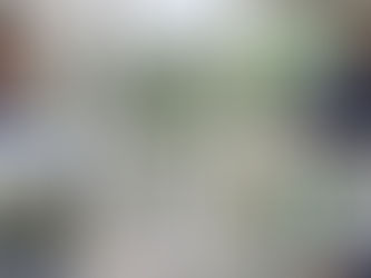 Can a Broken Window Seal Be Repaired?