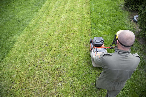 rear-view-man-photographing-field.jpg