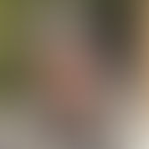 A Personal Moment and Tribute: Damon M. Estell