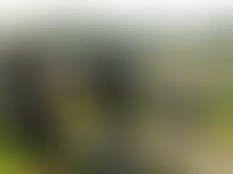 Publicité télévisée pour Maison Lavande