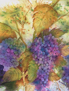 Harvest Season in Napa