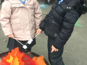 Bonfire Celebration Day