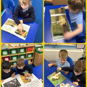 Non-fiction November!