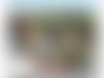 Newsletter 17th October 2025