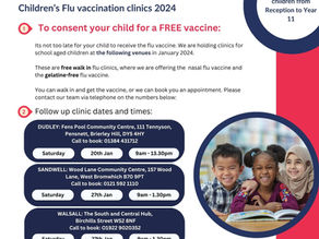 Flu Vaccination Clinic 2024