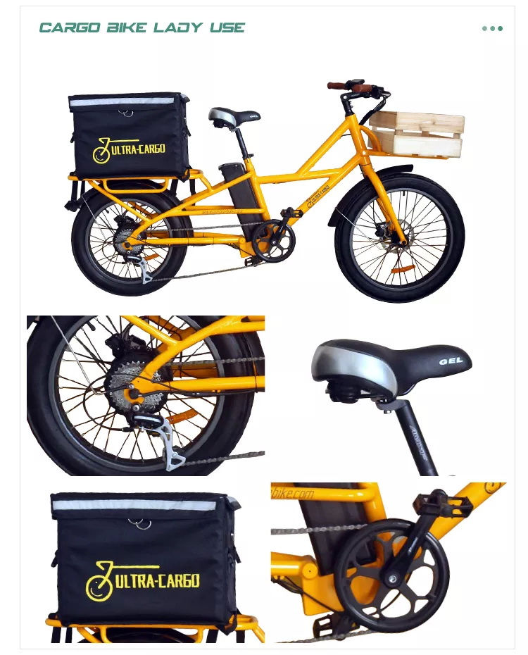 Thumbnail: E-Cargo Bicycle with Customized Rear Carriers